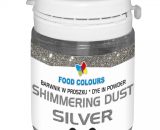 Dust SILVER shimmering 20g